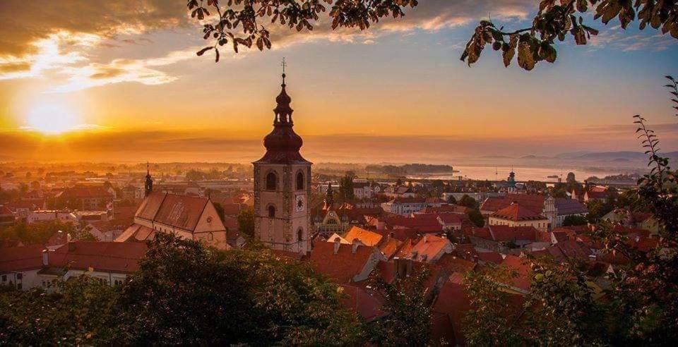 Hostel Sonce Ptuj Exterior foto