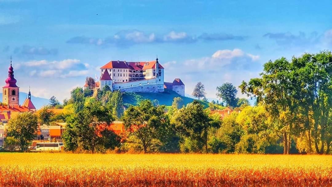 Hostel Sonce Ptuj Exterior foto