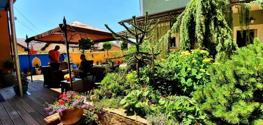 Hostel Sonce Ptuj Exterior foto