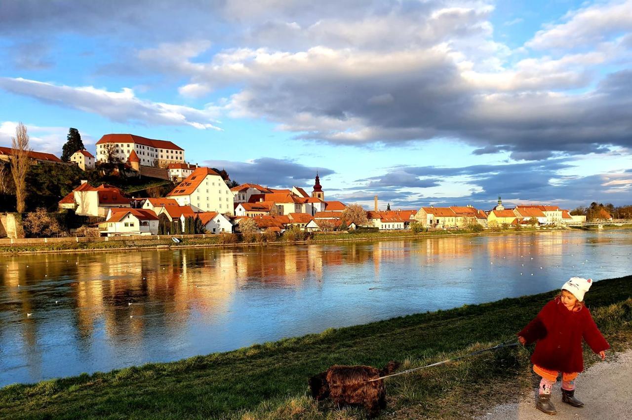 Hostel Sonce Ptuj Exterior foto